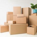 بررسی کارتن خالی