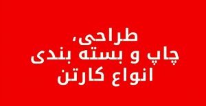 کارتن ساده طراحی و چاپ